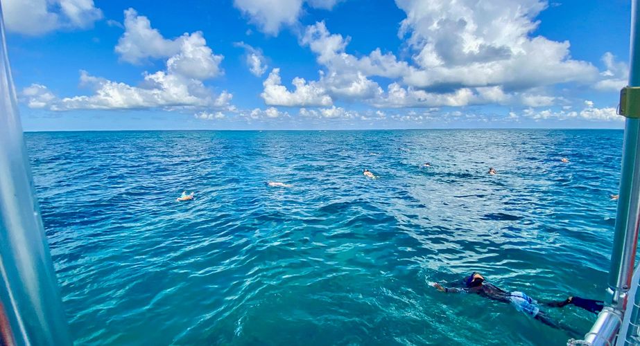 Deep South 146 Deep South 146